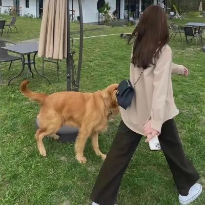 阿尔及尔的末代王后